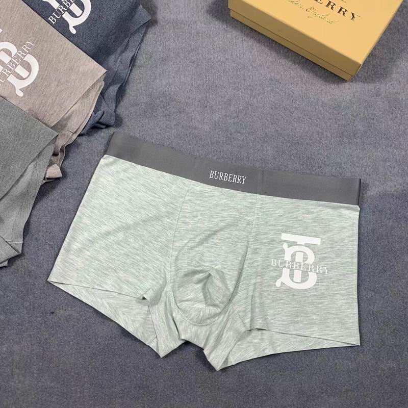 Burberry boxer L-3XL 50 (3)